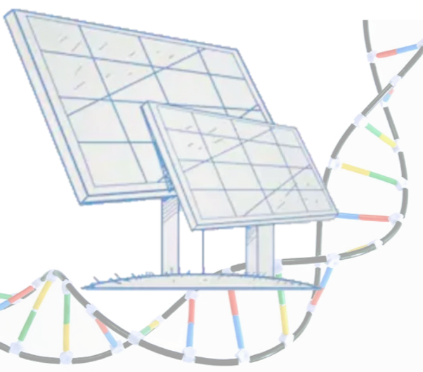 image_solar_cell_code_edited.png